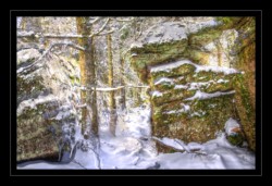 Le Grossmann sous la neige d'avril Walscheid : Le Grossmann