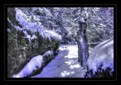 Le Grossmann Walscheid : Le Grossmann