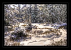 Le sommet du Grossmann Walscheid : Le Grossmann