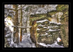 Le Grossmann Walscheid : Le Grossmann