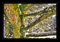 Le Grossmann Walscheid : Le Grossmann