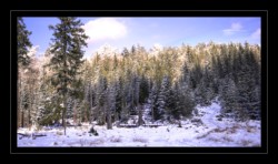 Walscheid : Altmatt Walscheid : Altmatt