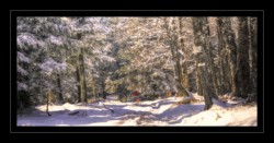 Altmatt Walscheid : Altmatt