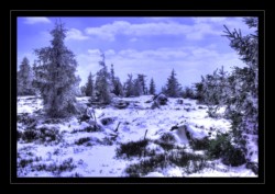 Au sommet du Noll Walscheid : Le Noll