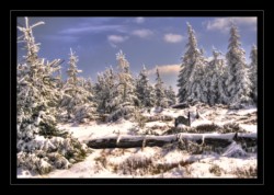 Le Noll sous la neige et le soleil Walscheid : Le Noll