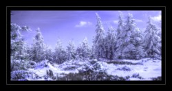 Le Noll Walscheid : Le Noll