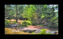 Walscheid - sommet sud du Feuerstein Walscheid - sommet sud du Feuerstein