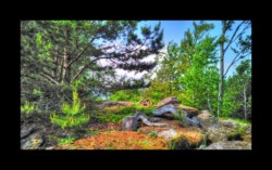 Walscheid - sommet sud du Feuerstein Walscheid - sommet sud du Feuerstein