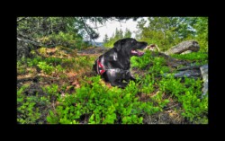 Bella - sommet sud du Feuerstein Bella - sommet sud du Feuerstein