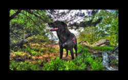 Bella - sommet sud du Feuerstein Bella - sommet sud du Feuerstein