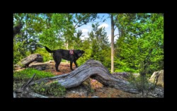 Bella - sommet sud du Feuerstein Bella - sommet sud du Feuerstein