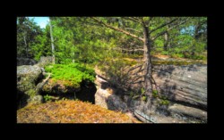 Walscheid - bordure du sommet sud du Feuerstein Walscheid - sommet sud du Feuerstein