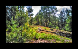Walscheid - plateau sud du Feuerstein Walscheid - plateau sud du Feuerstein