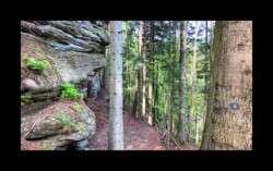 Dabo- vers le rocher du Herrenfels