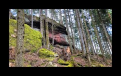 Dabo- rocher du Herrenfels