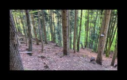 Dabo- devant la grotte du Herrenfels