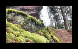 Dabo- vers Herrenfels