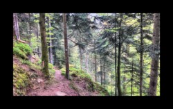 Dabo- vers Herrenfels
