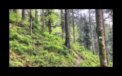 Dabo- vers Herrenfels