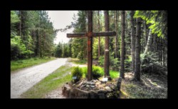 Wolfsgrubkreuz : la Croix du Loup Wolfsgrubkreuz