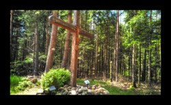 La Croix du Loup Dabo - Wolfsgrubkreuz