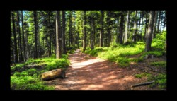 En allant vers la Schleif Dabo - En allant vers la Schleif