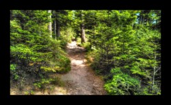 En allant vers la Schleif Dabo - En allant vers la Schleif