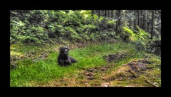 Dabo - petite pause à l'ombre Dabo - petite pause à l'ombre