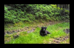 Dabo - petite pause à l'ombre Dabo - petite pause à l'ombre