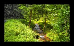 Vallée de la Zorn Blanche Vallée de la Zorn Blanche
