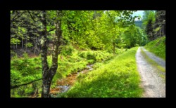 Vallée de la Zorn Blanche Vallée de la Zorn Blanche