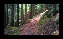 Montée vers la MF du Spitzberg Montée vers la MF du Spitzberg