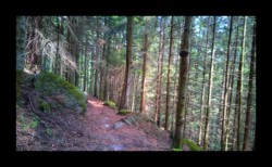 Montée vers la MF du Spitzberg Montée vers la MF du Spitzberg