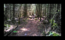 Vers le Spitzberg Vers le Spitzberg