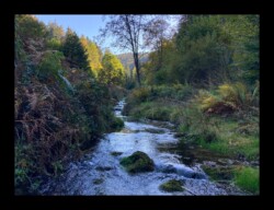 Vallée de la Zorn Blanche Vallée de la Zorn Blanche