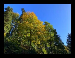 Vallée de la Zorn Blanche Vallée de la Zorn Blanche