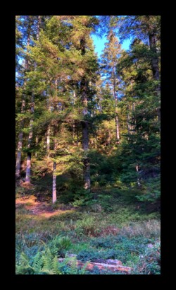 Vallée de la Zorn Blanche Vallée de la Zorn Blanche