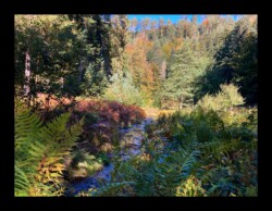 Vallée de la Zorn Blanche Vallée de la Zorn Blanche