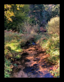 Vallée de la Zorn Blanche Vallée de la Zorn Blanche
