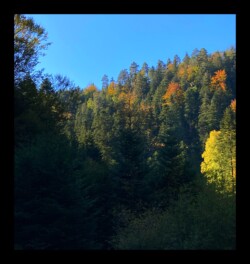 Vallée de la Zorn Blanche Vallée de la Zorn Blanche