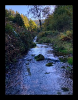 Vallée de la Zorn Blanche Vallée de la Zorn Blanche