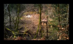 Dabo - Ancienne scierie Koeppenmuhl Dabo - Ancienne scierie Koeppenmuhl