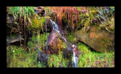 Dabo - Vallée de la Zorn Blanche Dabo - Vallée de la Zorn Blanche