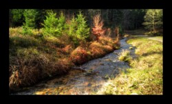 Dabo - La Zorn Blanche Dabo - La Zorn Blanche