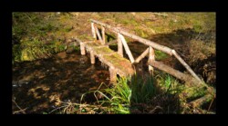 Dabo - La Zorn Blanche Dabo - La Zorn Blanche