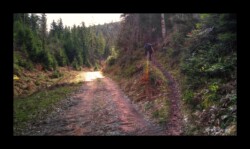 Dabo - Herrenmuhlen - Montée vers le Spitzberg Dabo - Herrenmuhlen - Montée vers le Spitzberg