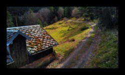 Dabo - près de l'ancienne MF du Spritzberg Dabo - près de l'ancienne MF du Spritzberg