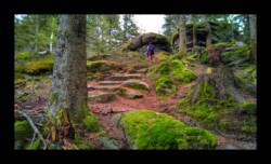 Dabo - Rocher du Urstein Dabo - Rocher du Urstein