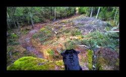 Dabo - Sommet du Urstein Dabo - Sommet du Urstein