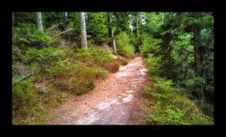 Dabo - GR 53 vers Croix du Loup Dabo - GR 53 vers Croix du Loup